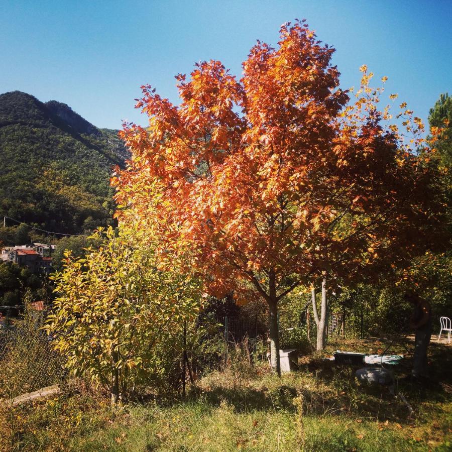 Inlakesh Le Tech Dış mekan fotoğraf