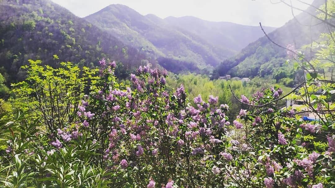 Inlakesh Le Tech Dış mekan fotoğraf