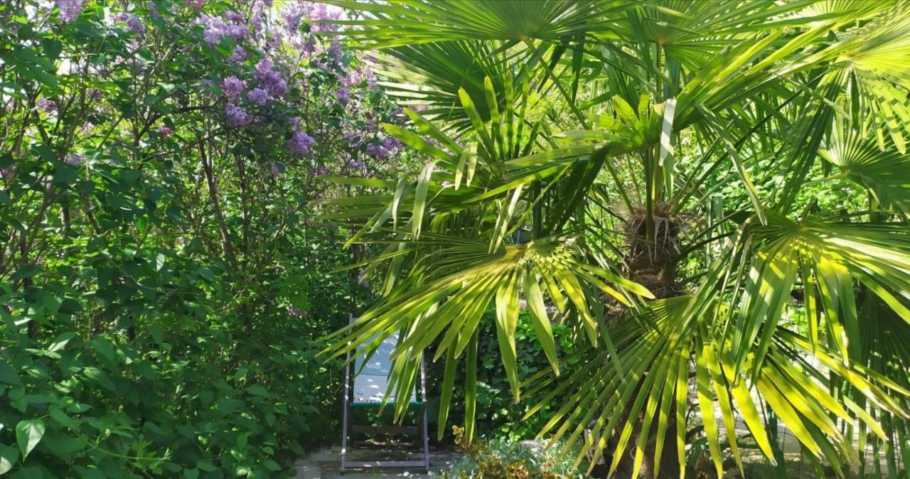Inlakesh Le Tech Dış mekan fotoğraf