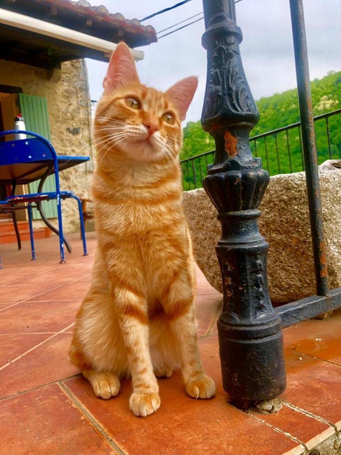 Inlakesh Le Tech Dış mekan fotoğraf
